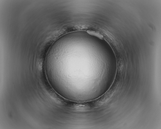 X0000111910315200908031143