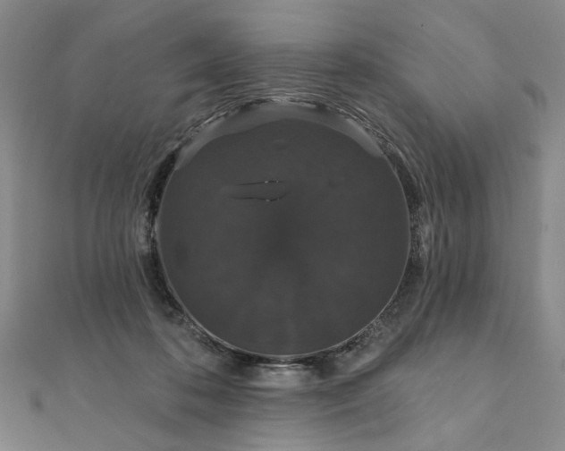 X0000111910316200908031143