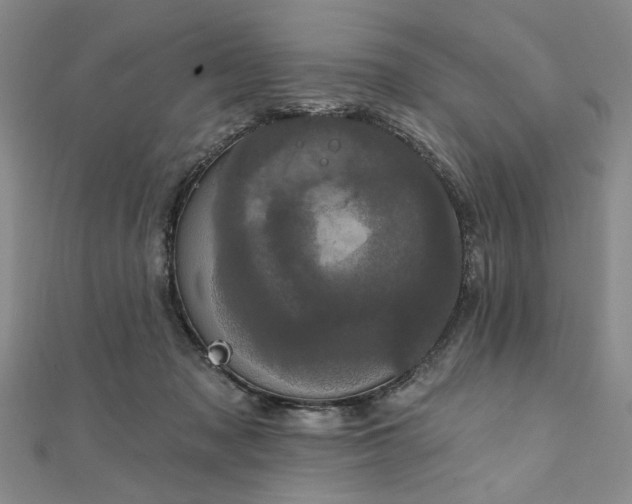 X0000111910317200908031143