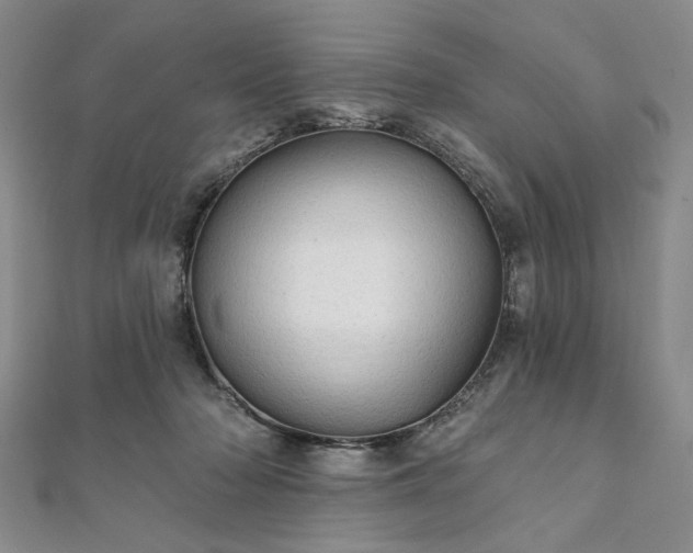 X0000111910318200908031143