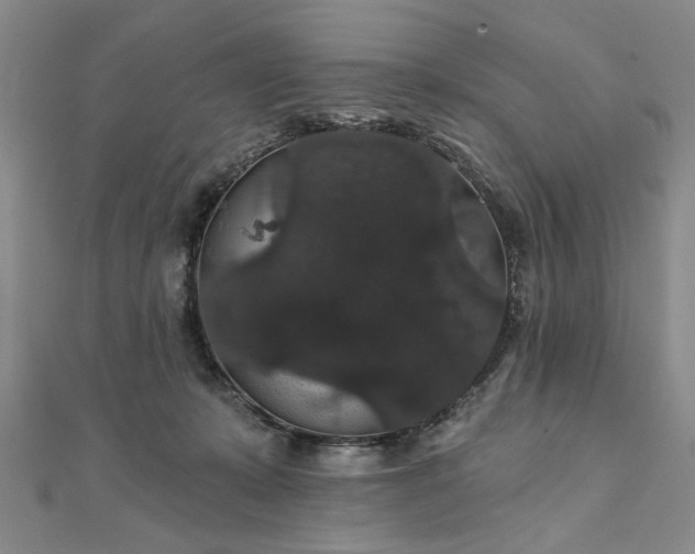 X0000111910319200908031143