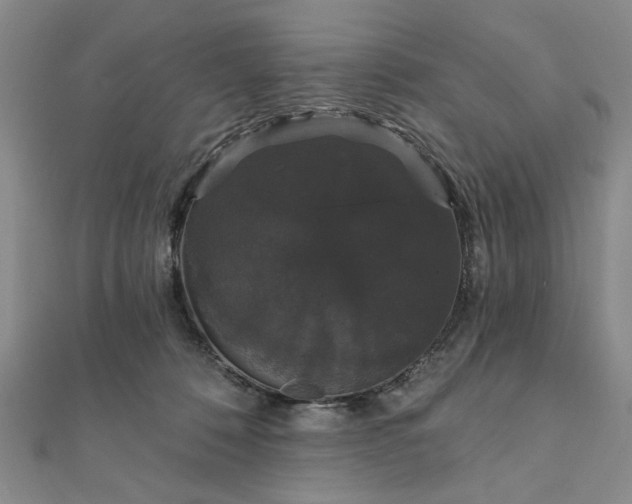 X0000111910320200908031143