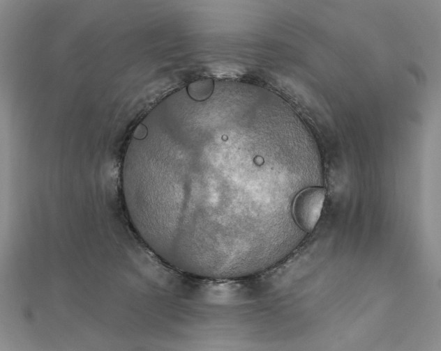 X0000111910321200908031143