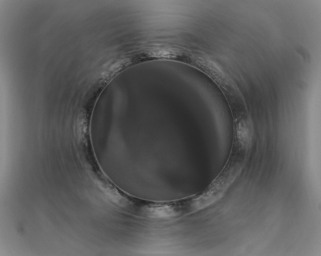 X0000111910322200908031143