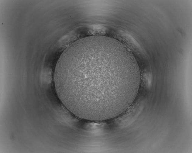 X0000111910323200908031143