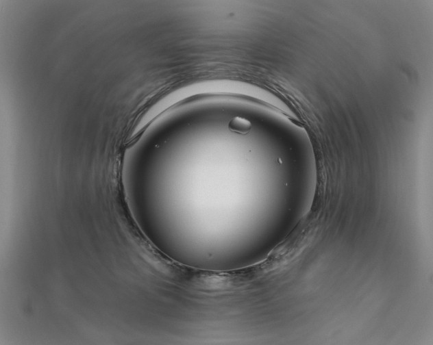 X0000111910325200908031143