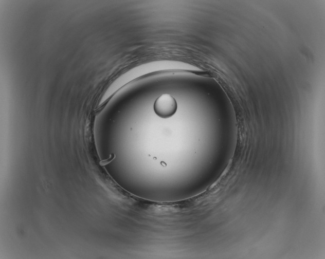 X0000111910327200908031143