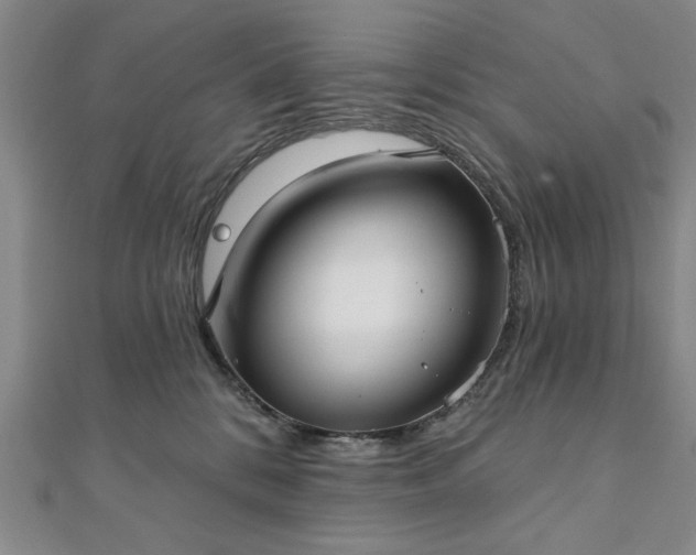 X0000111910328200908031143