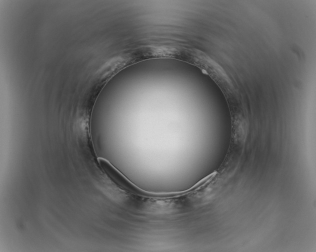 X0000111910329200908031143