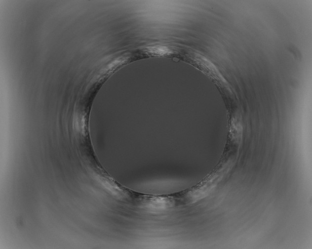 X0000111910330200908031143