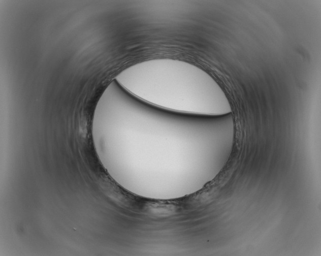 X0000111910331200908031143