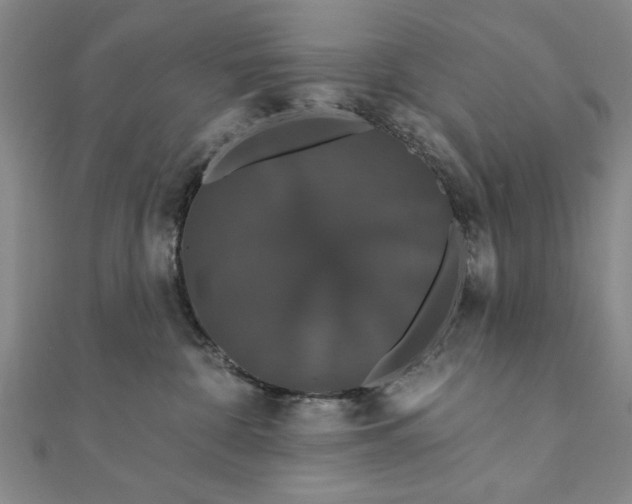 X0000111910332200908031143