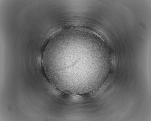 X0000111910333200908031143