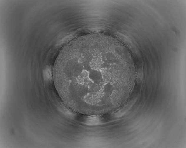 X0000111910335200908031143