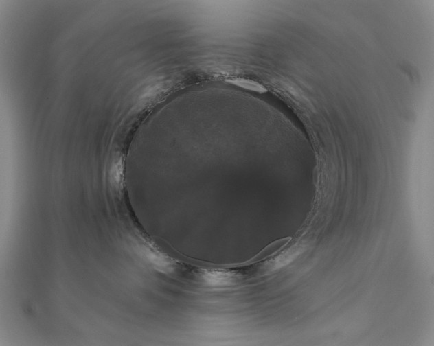 X0000111910336200908031143