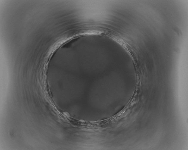 X0000111910337200908031142