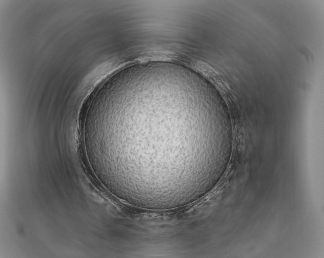 X0000111910338200908031142