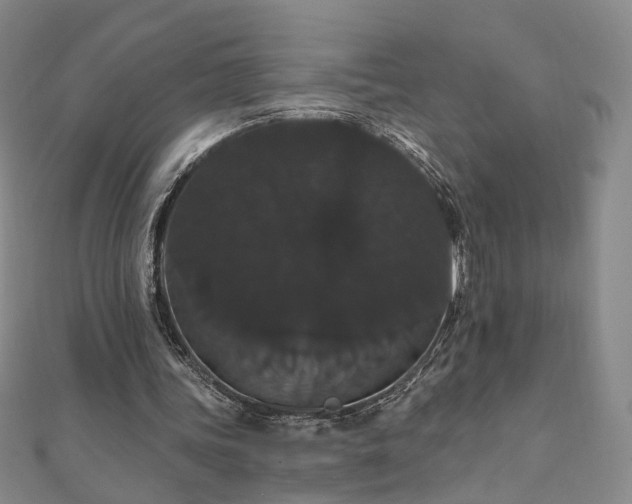 X0000111910339200908031142