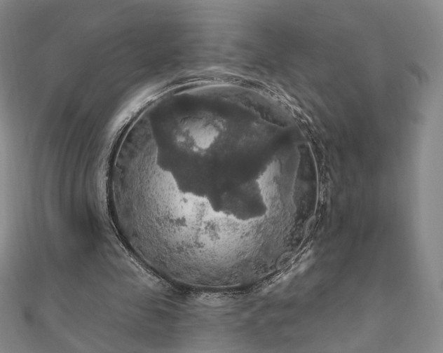 X0000111910341200908031142