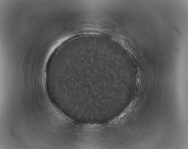 X0000111910342200908031142