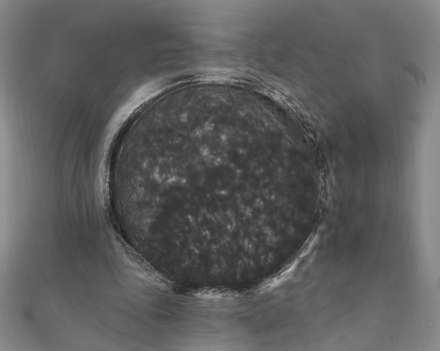 X0000111910343200908031142