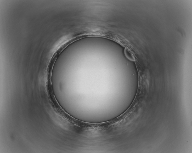 X0000111910344200908031142