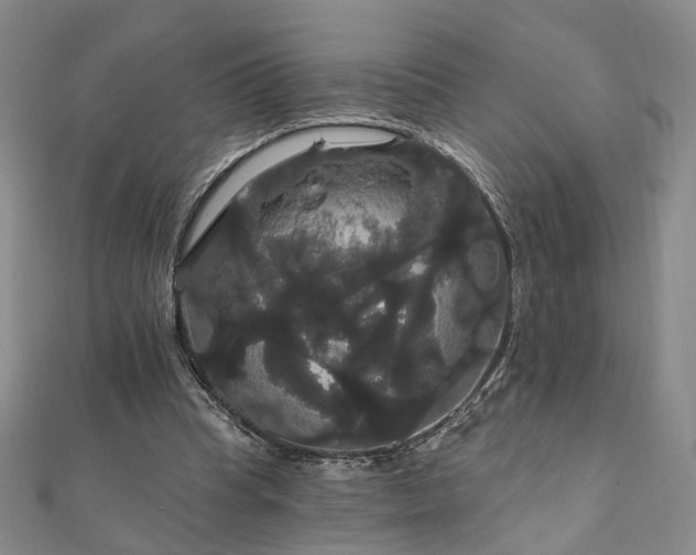 X0000111910345200908031142