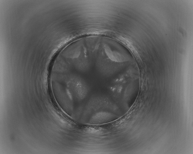 X0000111910346200908031142