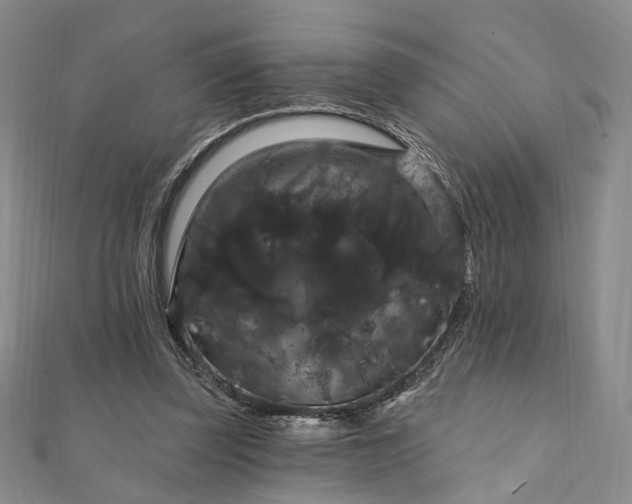 X0000111910347200908031142