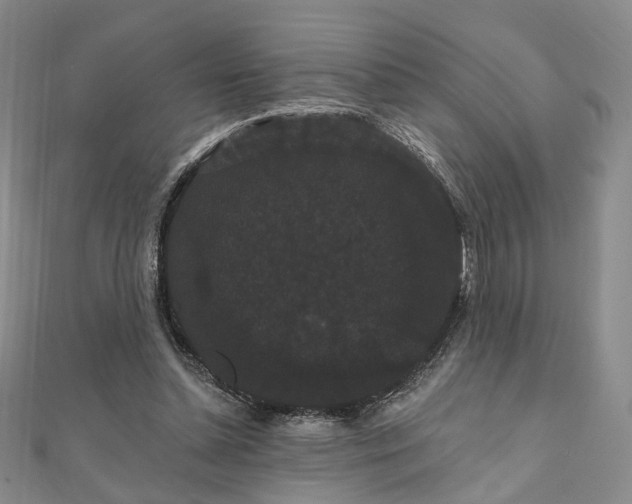 X0000111910348200908031142