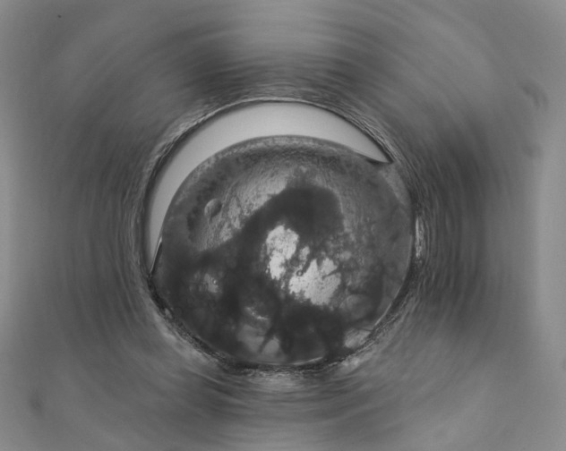 X0000111910349200908031142