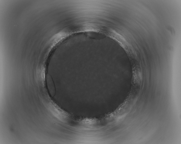 X0000111910350200908031142