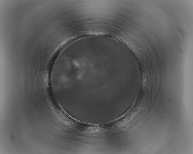 X0000111910351200908031142