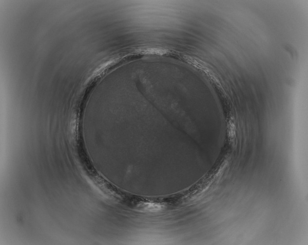 X0000111910352200908031142