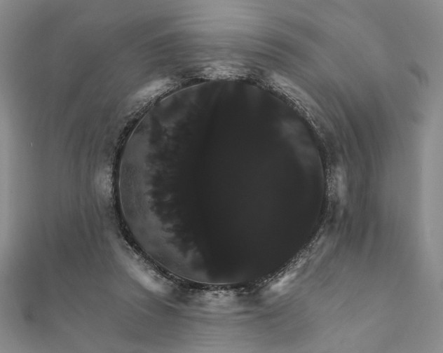 X0000111910353200908031142