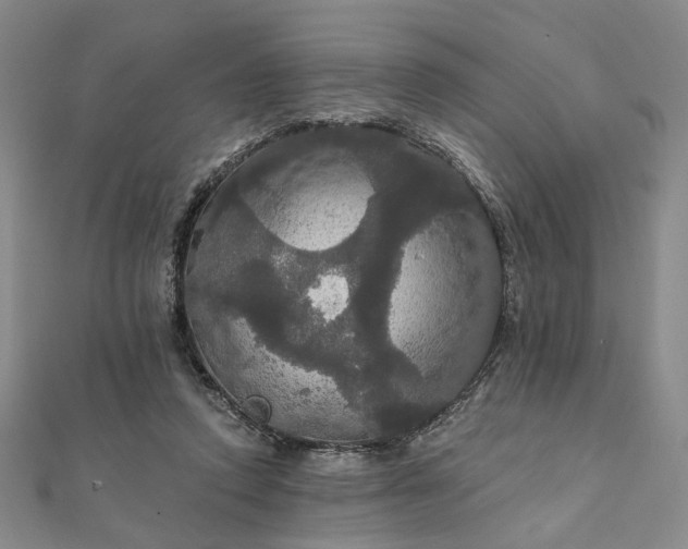 X0000111910354200908031142