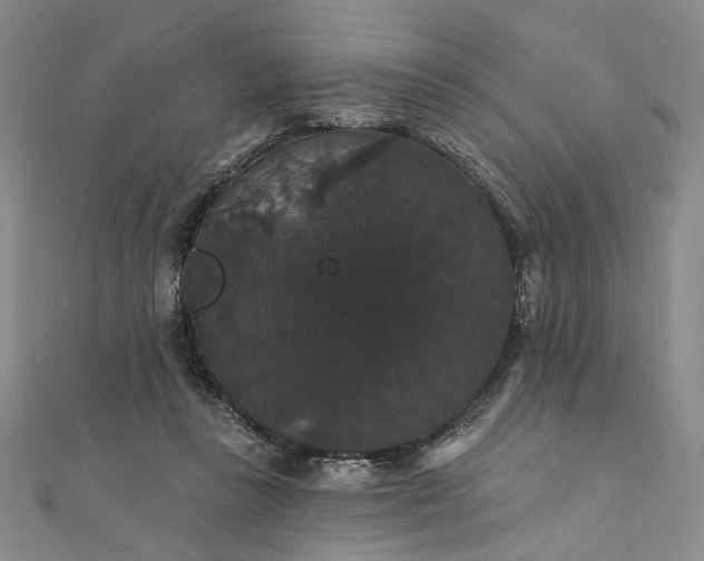 X0000111910355200908031142