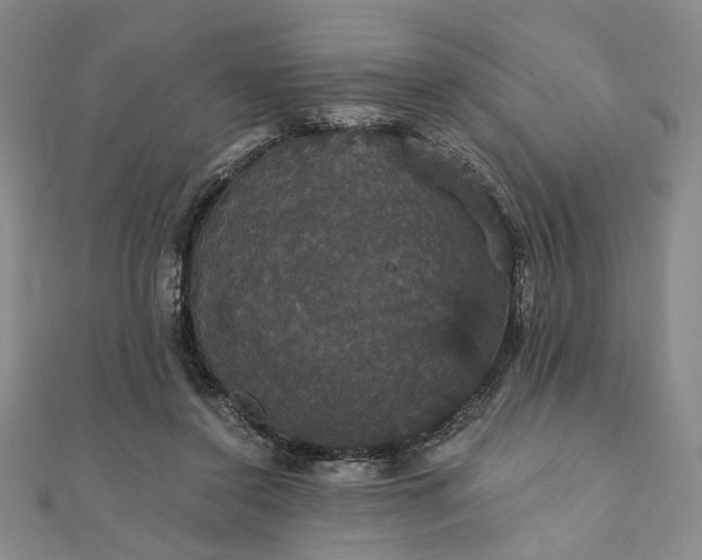 X0000111910356200908031142