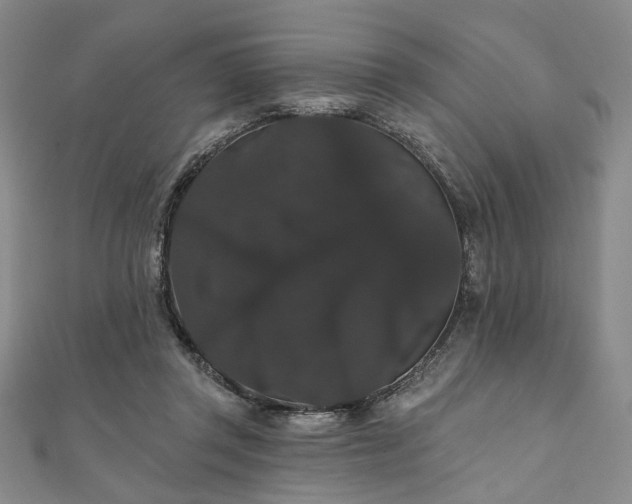 X0000111910357200908031142