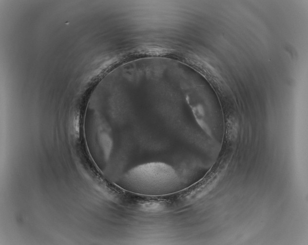 X0000111910358200908031142