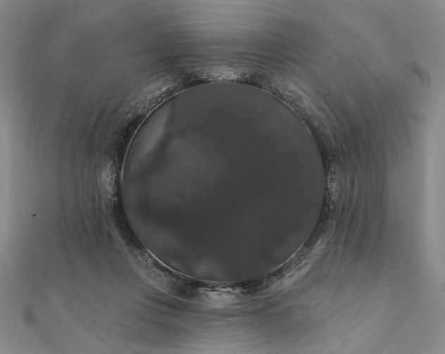 X0000111910359200908031142