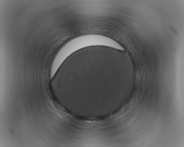 X0000111910360200908031142