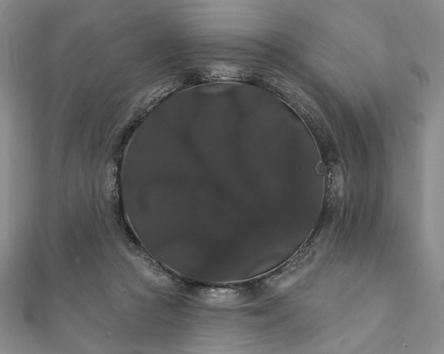 X0000111910361200908031142