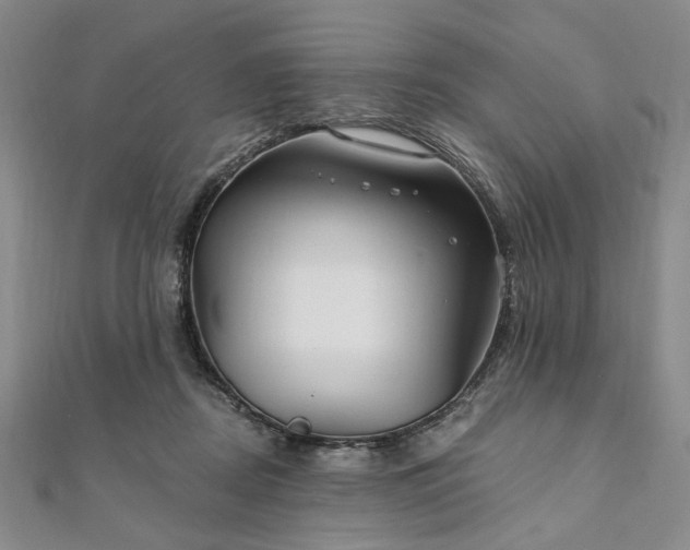 X0000111910362200908031142