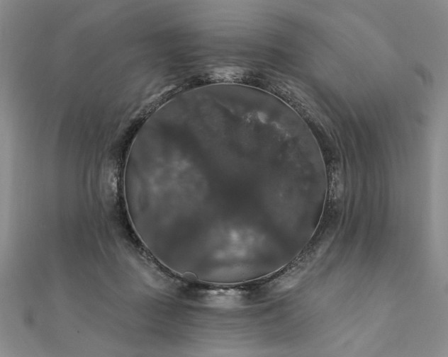 X0000111910363200908031142