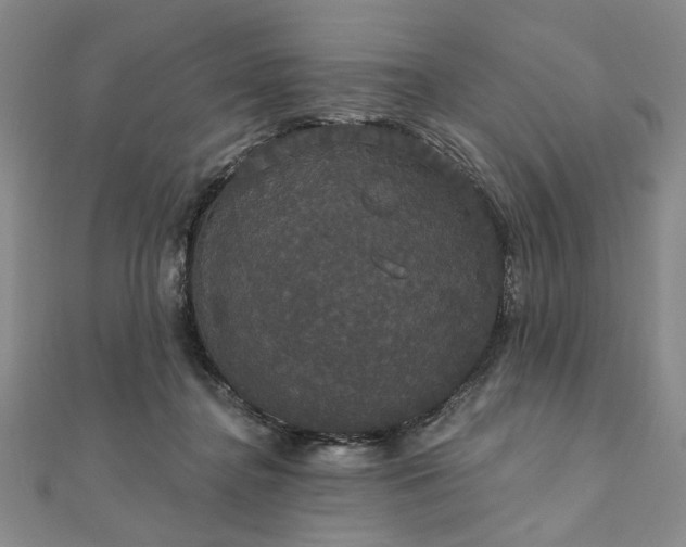 X0000111910364200908031142