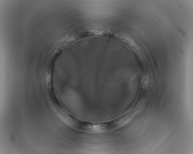 X0000111910365200908031143