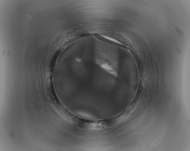 X0000111910366200908031143