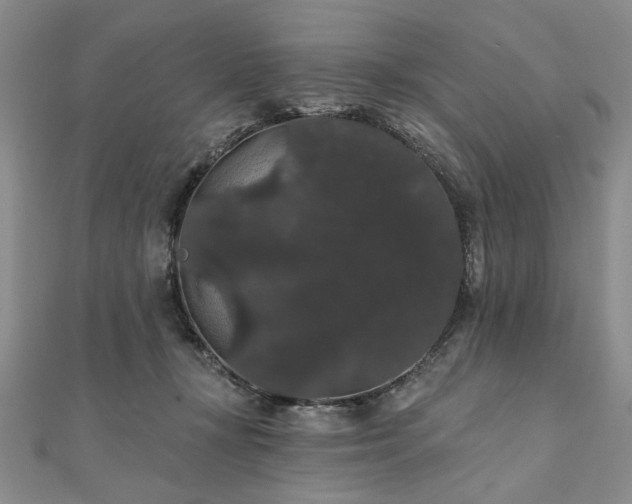 X0000111910367200908031143