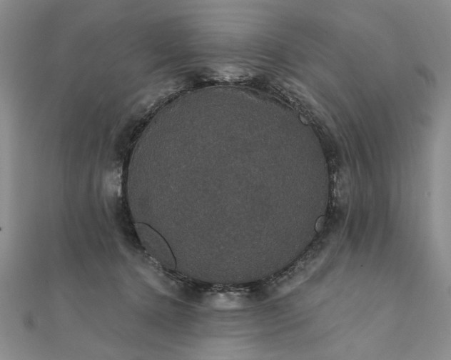 X0000111910368200908031143